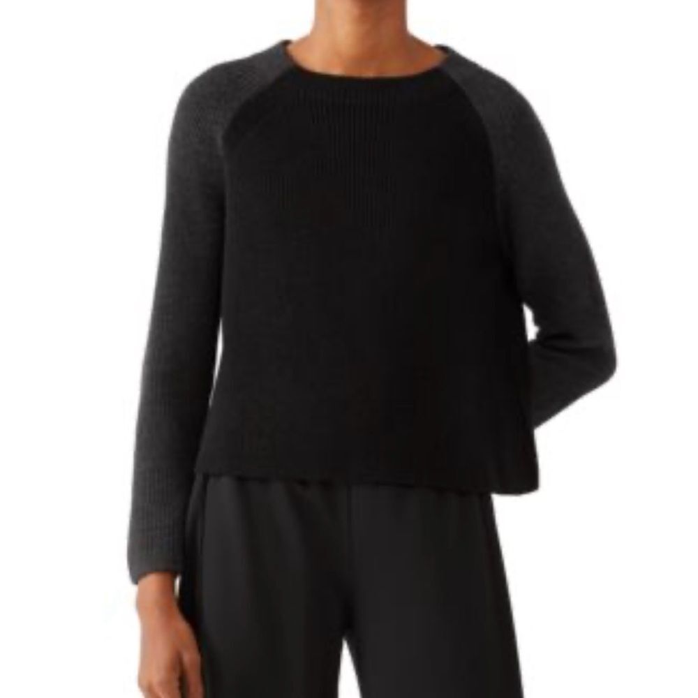 Eileen Fisher Colorblock Boxy Merino Wool Crewneck Sweater Women Size S